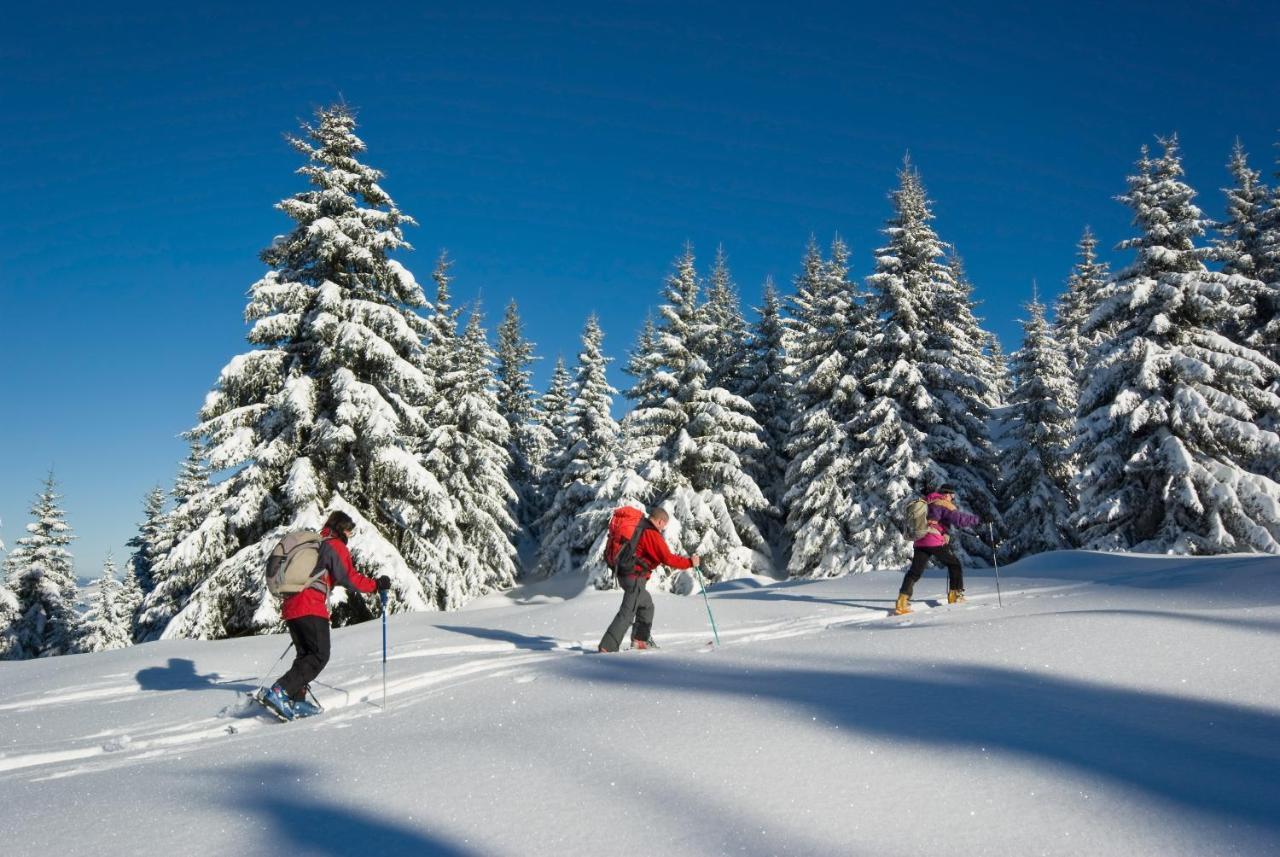 Gites Des Flandaines แซงต์-ฌอง-ออง-รัวยองส์ ภายนอก รูปภาพ