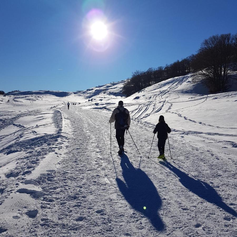 Gites Des Flandaines แซงต์-ฌอง-ออง-รัวยองส์ ภายนอก รูปภาพ