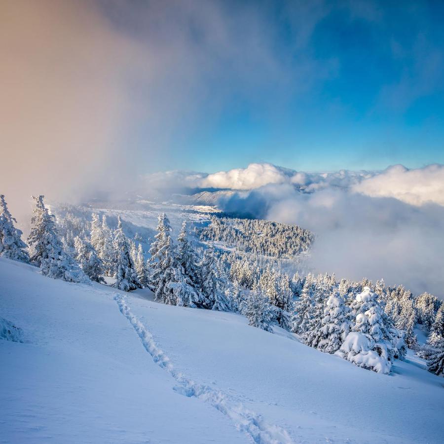 Gites Des Flandaines แซงต์-ฌอง-ออง-รัวยองส์ ภายนอก รูปภาพ